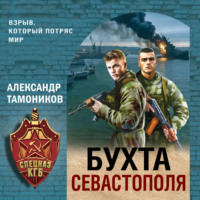Александр Тамоников. Бухта Севастополя