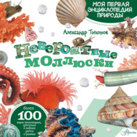 Александр Тихонов. Невероятные моллюски