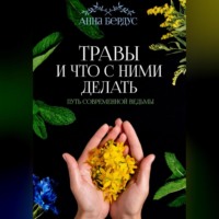 . Травы и что с ними делать. Путь современной ведьмы
