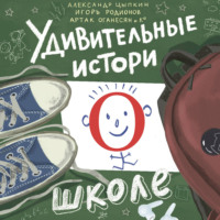 Вера Владимирова. Удивительные истории о школе