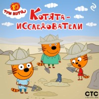 . Три кота. Котята-исследователи