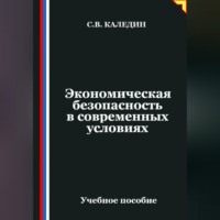 Сергей Каледин. Экономическая безопасность в современных условиях