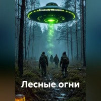 Владимир Юрьевич Малянкин. Лесные огни
