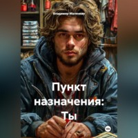 Владимир Юрьевич Малянкин. Пункт назначения: Ты