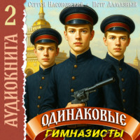 Петр Алмазный. Одинаковые. Том 2. Гимназисты