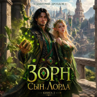 . Зорн. Сын лорда. Книга 2