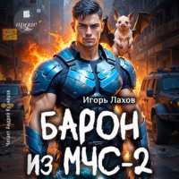 Игорь Лахов. Барон из МЧС-2