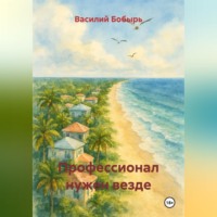Василий Бобырь. ПРОФЕССИОНАЛ нужен везде