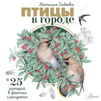 Наталья Габеева. Птицы в городе. 25 историй в фактах