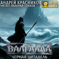 Андрей Красников. Валгалла IV. Черная цитадель