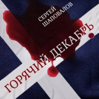 Сергей Анатольевич Шаповалов. Горячий Декабрь