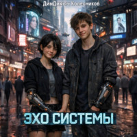 . Эхо системы