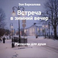 Зоя Баркалова. Встреча в зимний вечер