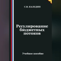 Сергей Каледин. Регулирование бюджетных потоков