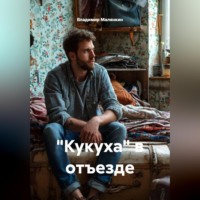 Владимир Юрьевич Малянкин. 
