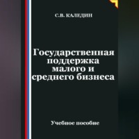 Сергей Каледин. Государственная поддержка малого и среднего предпринимательства