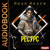 Инди Видум. Петя и Валерон. Книга 5. Ресурс