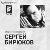 Сергей Бирюков. Сергей Бирюков. Универсум. Гиперзвуковая поэзия