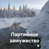 . Партийное замужество