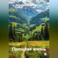 . Прошлая жизнь