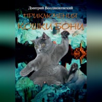 Дмитрий Воздвиженский. ПРИКЛЮЧЕНИЯ КОШКИ БОНИ
