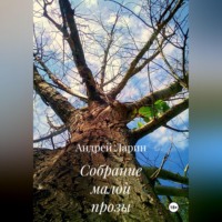 Андрей Ларин. Собрание малой прозы