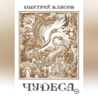 Дмитрий Власов. Чудеса