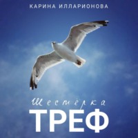 Карина Илларионова. Шестёрка треф