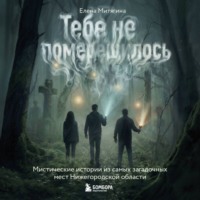 Елена Митягина. Тебе не померещилось. Мистические истории из самых загадочных мест Нижегородской области
