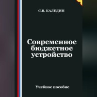 Сергей Каледин. Современное бюджетное устройство