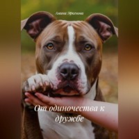 Амина Эркенова. От одиночества к дружбе