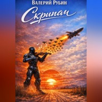 Валерий Рубин. Скрипач