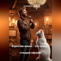 Владимир Юрьевич Малянкин. Взрослая жизнь - это скам)                                                стендап-офлайн