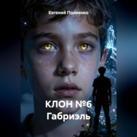 . КЛОН №6 Габриэль