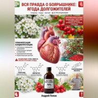 Андрей Попов. Вся правда о боярышнике: ягода долгожителей