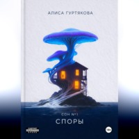 Алиса Гуртякова. Споры