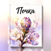Алина Вербная. Почка