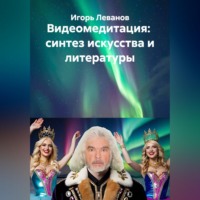 . Видеомедитация:  синтез искусства и литературы