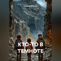 Владимир Юрьевич Малянкин. Кто-то в темноте