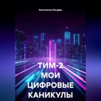 Константин Погудин. ТИМ-2 МОИ ЦИФРОВЫЕ КАНИКУЛЫ