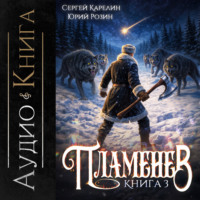 Сергей Карелин. Пламенев. Книга III