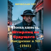 . Попаданец. Штирлиц из будущего — внедрение в SD (1941)