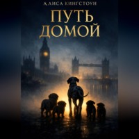 . Путь домой