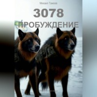 Михаил Тамоев. 3078. Пробуждение