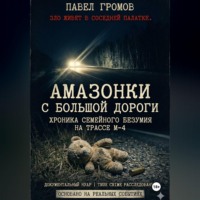 . «Амазонки» с большой дороги: Хроника семейного безумия на трассе М-4