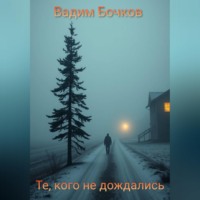 Вадим Бочков. Те, кого не дождались