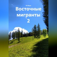 Kh Beyer. Восточные мигранты 2