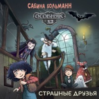 Сабина Больманн. Особняк №13. Страшные друзья