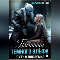 . Пленница темного эльфа. Путь в Подземье