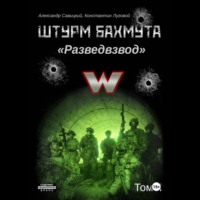 Александр «Писатель» Савицкий. Штурм Бахмута. Разведвзвод. Том II